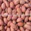 High Efficient Peanut Sorter Machine