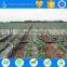 TS irrigation build waterring &irrigation function infarm irrigation system