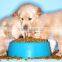 gourmet pet food for adult dogs and puppies