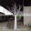 Shopping mall indoor decoration dry tree branches with leaves
