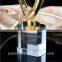 Custom new design crystal dance trophy