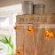 10 Halloween Pumpkin Battery Operated LED Fairy Lights