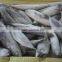 Frozen Bonito