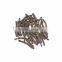 Xian Mao Golden Eye Grass Rhizome