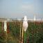White Pe Packing Flower Bud Netting