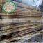 bamboo poles wholesale/wholesale natural raw bamboo poles sale with great quality/bamboo poles cheap