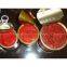 2014 Hot Sell Tomato Paste 70g Factory Price