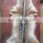 Dressed coyote skins ready for garments use