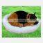 plusg dog sleep on the mat 2015 New plush toys