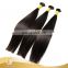 Hot Buck Sale Daily Remy Nail Tip Human Hair Extensions
