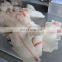 Hot Selling Stainless Steel Durable Big Machine Cutting Frozen Fish