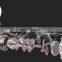 Meat grinder for factory mincer meat chicken meat mincer