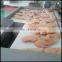 2016 High efficient chill meat dicer machine