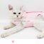 Surgical Sterilization Suit Pet Clothing for Cats Wound Protect Clothes Surgery Care Clothes
