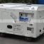 BISON(CHINA) Electric Start With Battery Diesel Generator 10 kva/10 kw/10kw