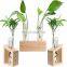 3pcs set Glass Air Planter Bulb Test Tube Plant Terrarium wood plant stand wooden shelf