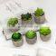 Artificial Bonsai Home Decoration Small Cheap Desktop Plastic Plant Artificial Succulent With Pulp Paper Pot