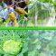 Transparent 130gsm garden insect netting agriculture insect protection nets