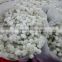 Wide variety new arrival classical decorative gypsophila flower