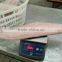 mahi mahi fillets skin-on, blood line-in,EU chemical treated,PBO