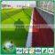 Chinese high resilience football artificial grass with fake carpet