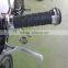 20 Inch Custom Steel Freestyle Bike /BMX Bicycle