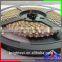 CE ROHS Factory Flexible Led Strip Light 3014 120led one side view with 2 years warranty