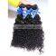 Hotsale brazillian virgin hair,wholesale water wave virgin brazilian hair extension