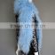Baby Blue European Winter Fur Muffler/Wholesale women's mongolian lamb fur scarf