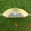 PVCtransparent Umbrella Kid Umbrella