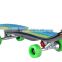 200w brushless electric skateboard with wireless remote control