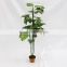 cheap artificial scindapsus palnt trees wholesale indoor