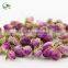 Organic Chinese Dried Rose Bud Flower Herbal Tea