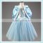Chiffon Cosplay Princess Dress Baby Girls Festival Cosplay Costume Blue Cloak Dress for Winter Party Snow Queen Costume Clothes
