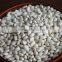 White Kidney Beans, crop 2015 crop
