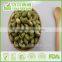 BRC, HALAL , FAD, Certificated Manufacturer Salted and Roasted Green Beans