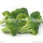 wholesale factory price China Fresh Broccoli Good Quality Broccoli