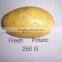 2015 crop Chinese Holland Potato with good quality for sale