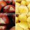 2015 new organic raw chestnuts for sale