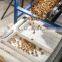 Walnut kernel multiple layer stainless steel conveyor dryer