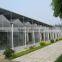 Commercial Greenhouse for agriculture