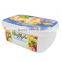 Rectangular IML Plastic Ice Cream Tubs Packaging,64 oz IML Ice Cream Container Walmart