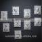 Shabby chic home decor resin 3d wall animal decor frame