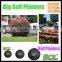 Ball shaped flower garden pot Planter