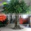 Big Artificial Banyan Tree bonsai 18ft high for Garden Landscaping decoration indoor use