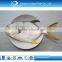 Wholesale health golden pomfret sea food