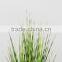 Wholesale artificial plants zebra onion grass in pot
