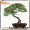 2015 Guangzhou professional supplier make artificial pine bonsai tree for sale