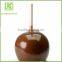 Candy Apple Sticks Manufacturers