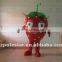 NO.2430 character fruit costumes strawberry design